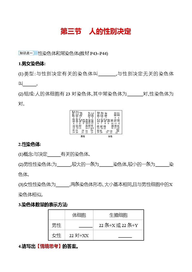 苏教版生物 八年级下册 第8单元　第二十二章　第三节　人的性别决定 学案01
