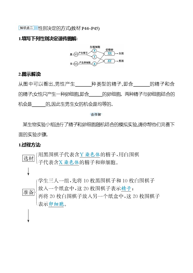 苏教版生物 八年级下册 第8单元　第二十二章　第三节　人的性别决定 学案03