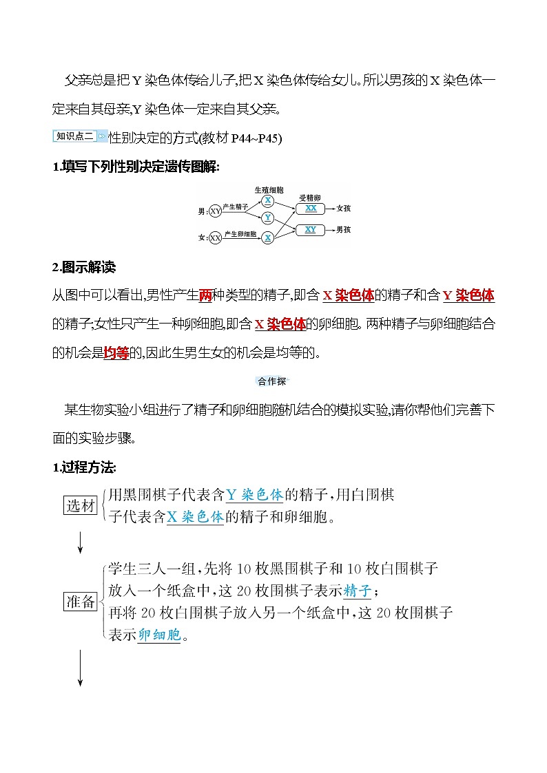 苏教版生物 八年级下册 第8单元　第二十二章　第三节　人的性别决定 学案03