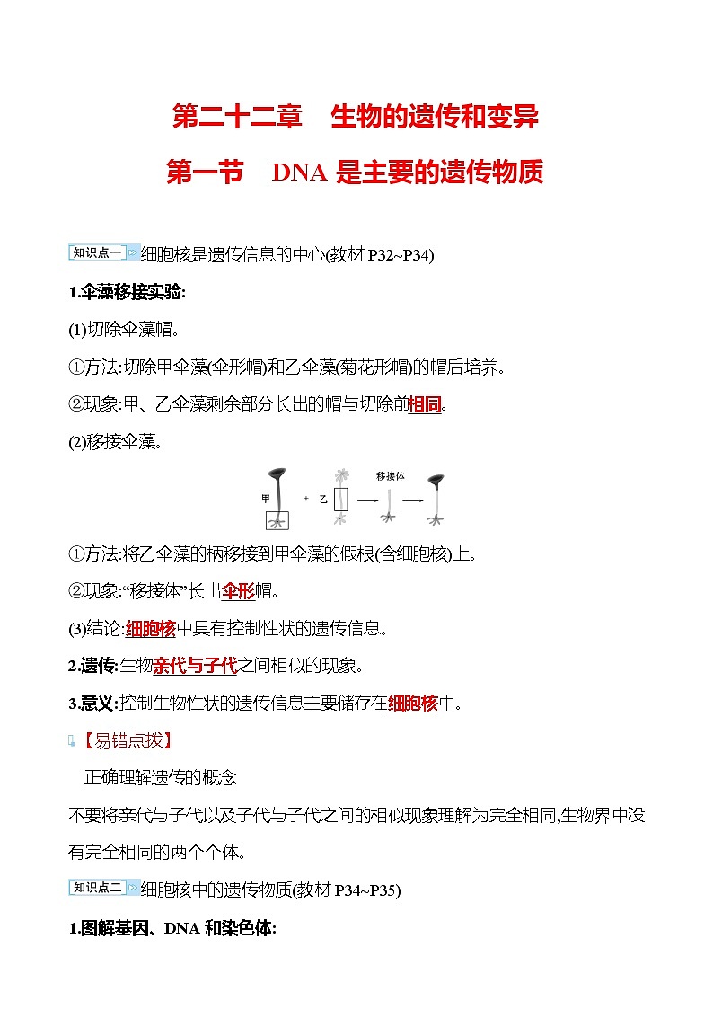 苏教版生物 八年级下册 第8单元　第二十二章　第一节　DNA是主要的遗传物质 学案(教师版)第1页