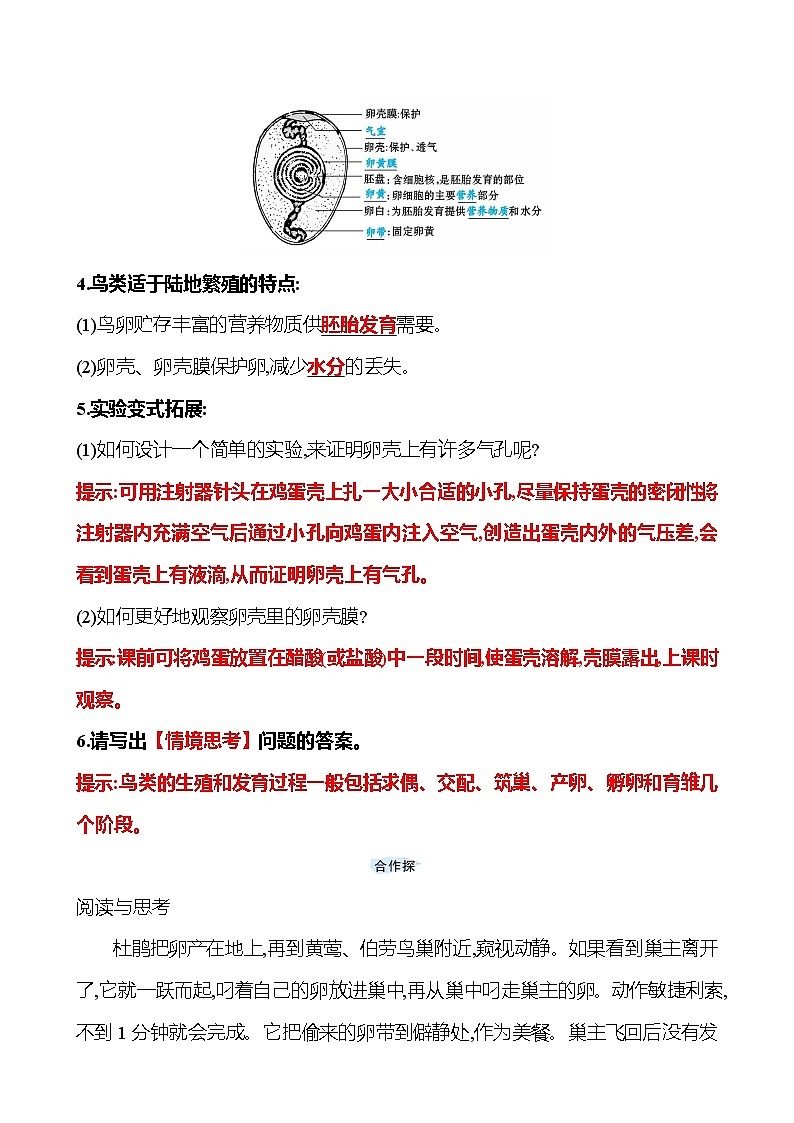 苏教版生物 八年级下册 第8单元　第二十一章　第五节　鸟类的生殖与发育 学案02