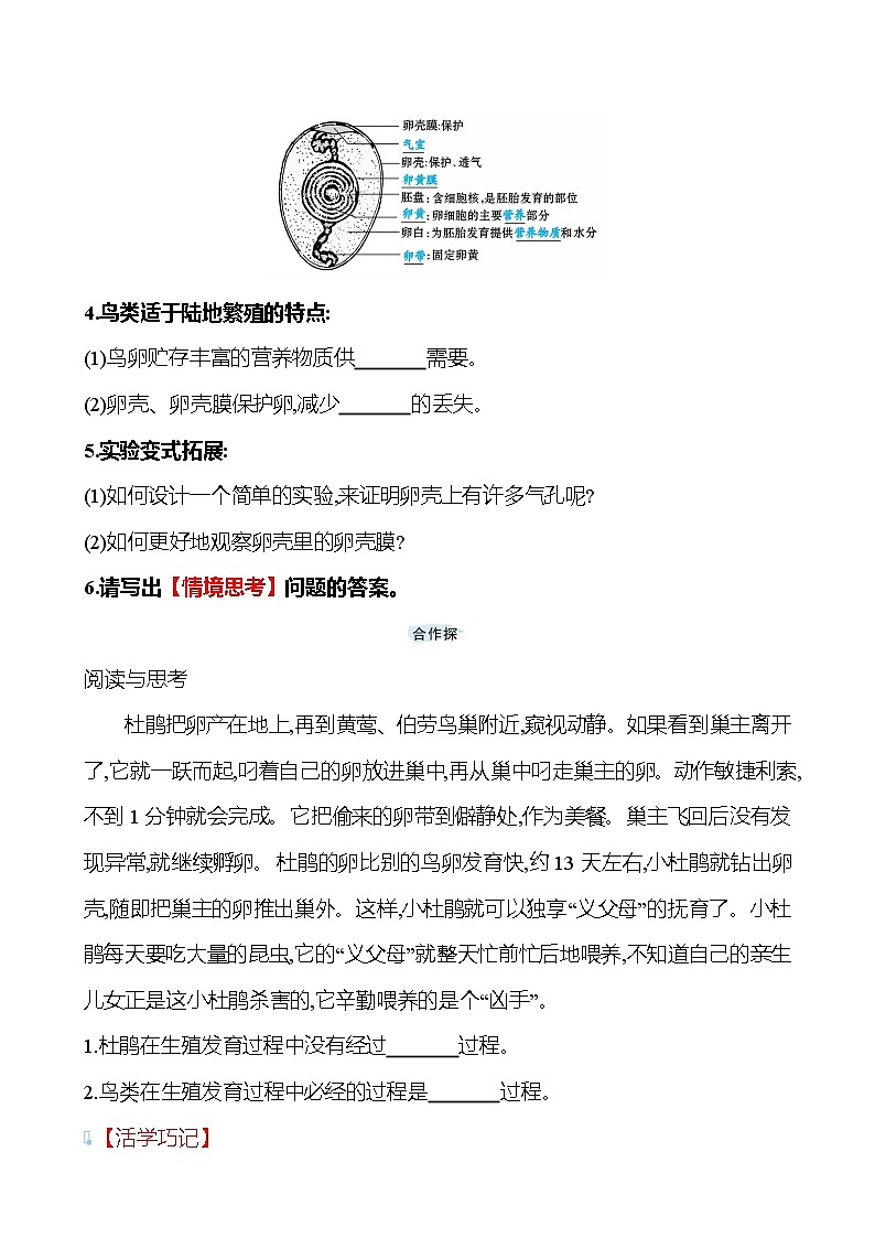 苏教版生物 八年级下册 第8单元　第二十一章　第五节　鸟类的生殖与发育 学案02