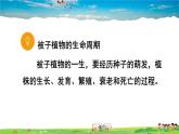 人教版生物七年级上册  第二章 第一节 第1课时 种子萌发的环境条件【课件+素材】