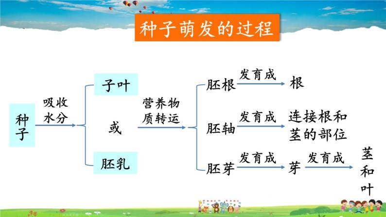 人教版生物七年级上册  第二章 第一节 第2课时 种子萌发的过程及测定种子的发芽率【课件+素材】04