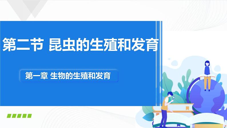 第二节 昆虫的生殖和发育 课件第1页