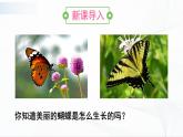 7.1.2《昆虫的生殖和发育》课件+教案