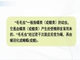 7.1.2《昆虫的生殖和发育》课件+教案