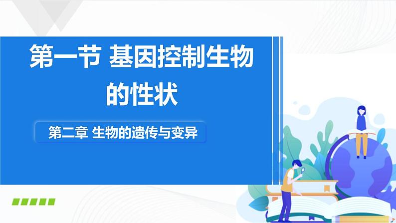 7.2.1《基因控制生物的性状》课件+教案01