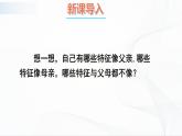 7.2.1《基因控制生物的性状》课件+教案