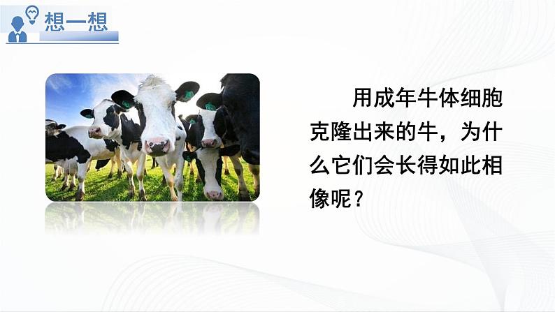 7.2.1《基因控制生物的性状》课件+教案04