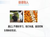 7.2.2《基因在亲子代间的传递》课件+教案