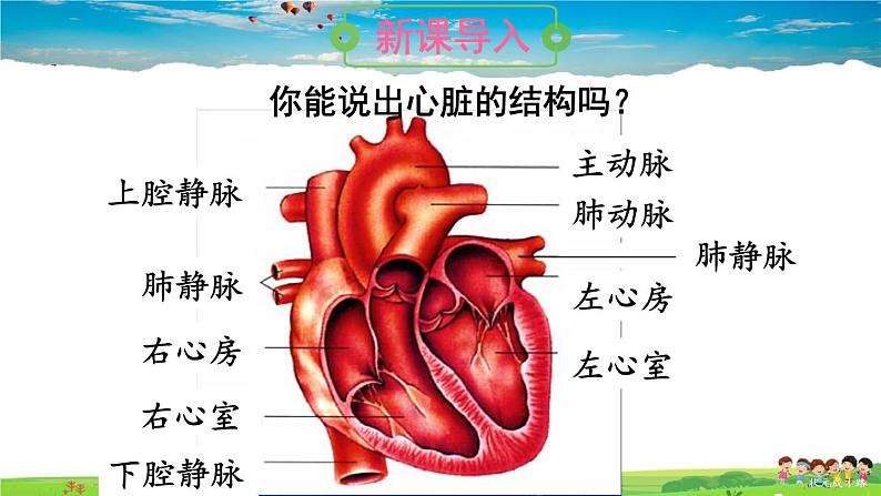 第四章 人体内物质的运输  第三节 输送血液的泵——心脏  第2课时 血液循环的途径课件PPT02