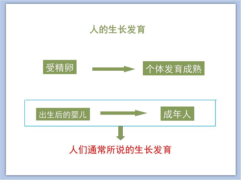 《人的生长发育和青春期》课件PPT04