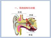 《人体感知信息》第二课时课件PPT