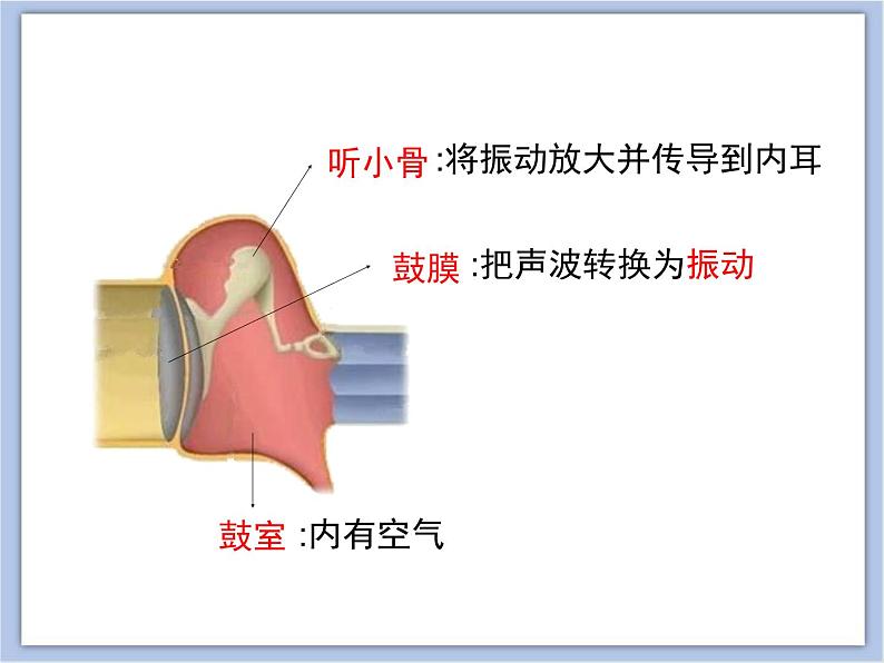 《人体感知信息》第二课时课件PPT07