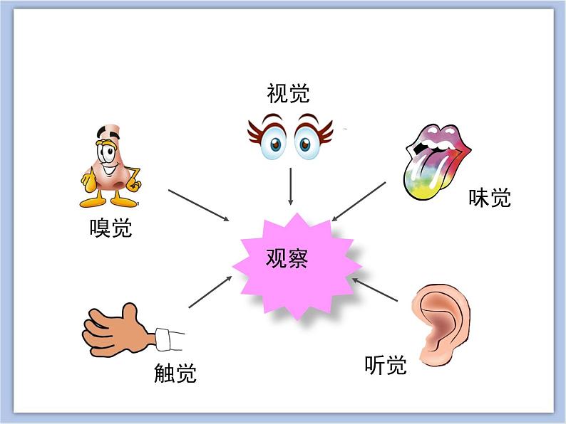 《人体感知信息》第一课时课件PPT05