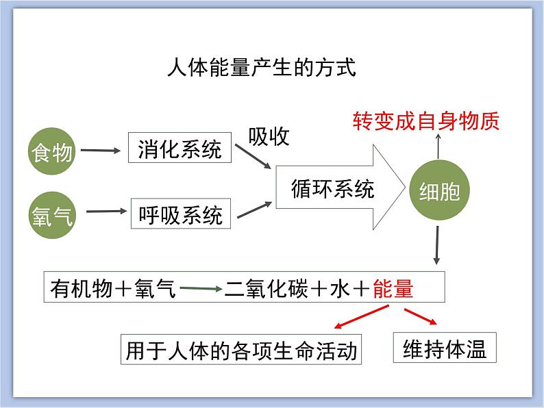 《人体能量的供给》优教课件第6页