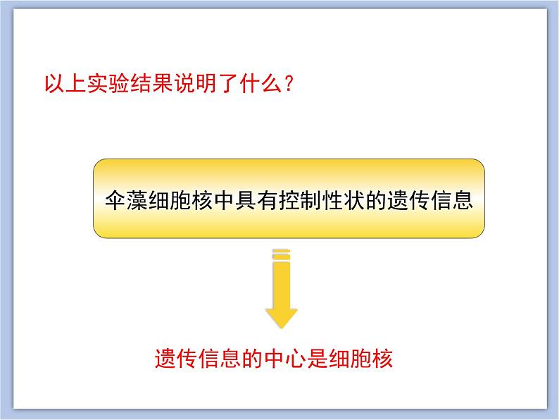 《DNA是主要的遗传物质》授课课件第4页