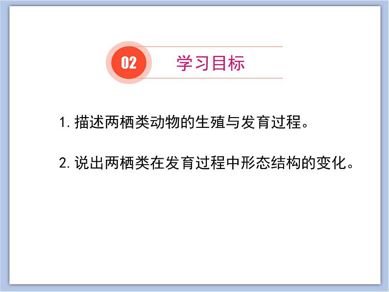第四节 两栖类的生殖与发育 课件PPT03