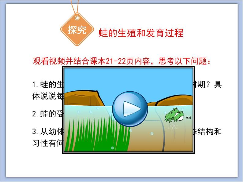 第四节 两栖类的生殖与发育 课件PPT05