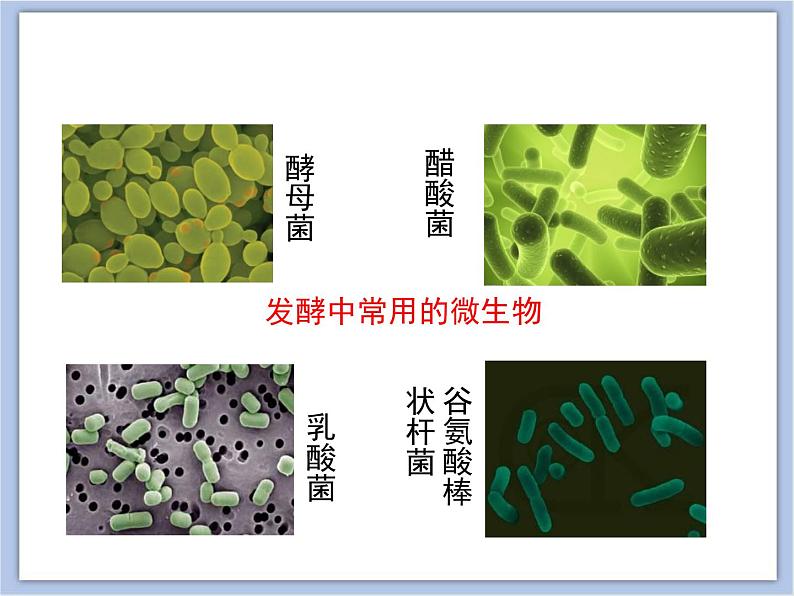 第一节 源远流长的发酵技术 课件PPT08