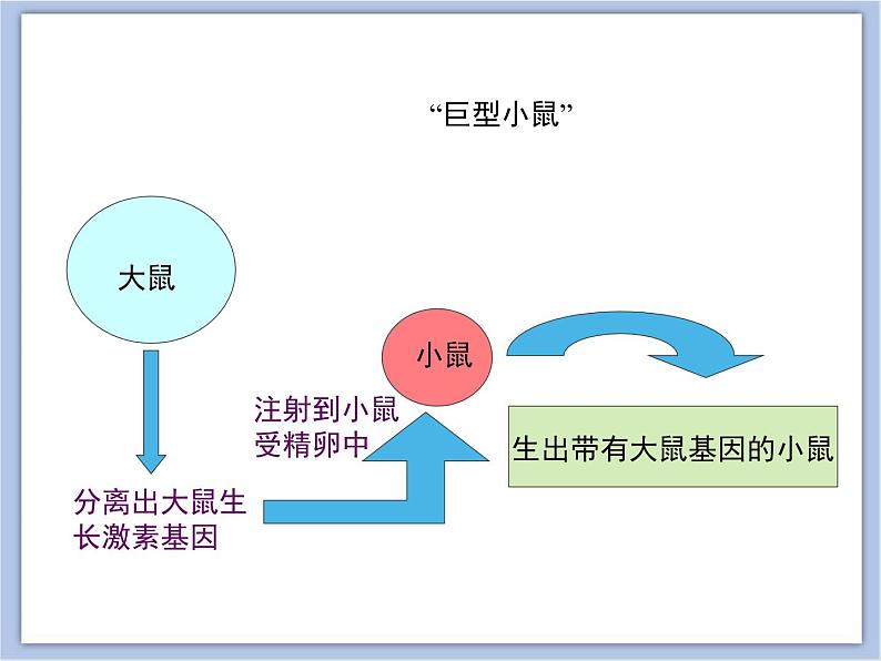 第一节 现代生物技术的应用 课件PPT03