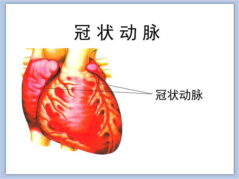 第二节 威胁健康的主要疾病 课件PPT04