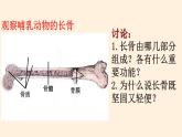 动物运动的形成PPT课件免费下载