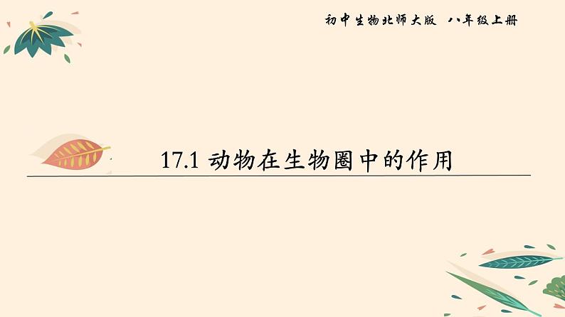动物在生物圈中的作用PPT课件免费下载01