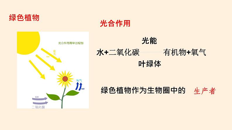 动物在生物圈中的作用PPT课件免费下载03