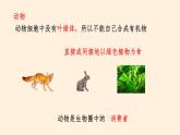 动物在生物圈中的作用PPT课件免费下载