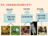 动物在生物圈中的作用PPT课件免费下载