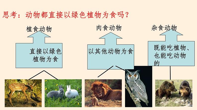 动物在生物圈中的作用PPT课件免费下载05