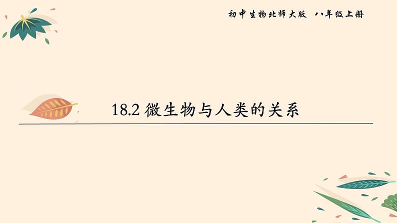 微生物与人类的关系PPT课件免费下载01