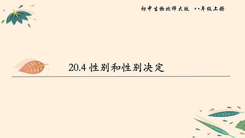 20.4 性别和性别决定  课件 初中生物北师大版 八年级上册（2021年）01