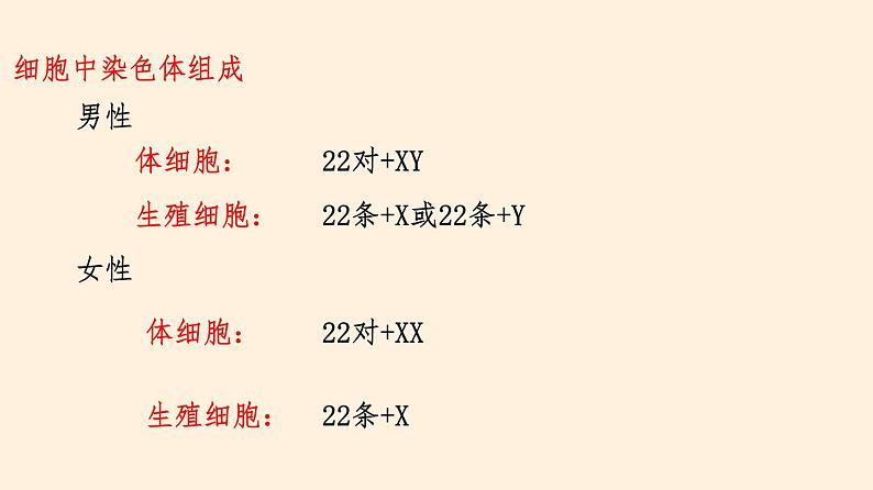 20.4 性别和性别决定  课件 初中生物北师大版 八年级上册（2021年）06