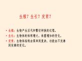 人的生殖和发育PPT课件免费下载