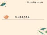 遗传与环境PPT课件免费下载