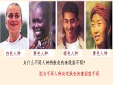遗传与环境PPT课件免费下载