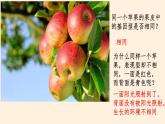 遗传与环境PPT课件免费下载