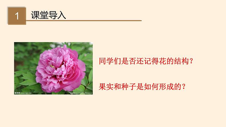 19.3 植物的生殖方式  课件 初中生物北师大版 八年级上册（2021年）第2页