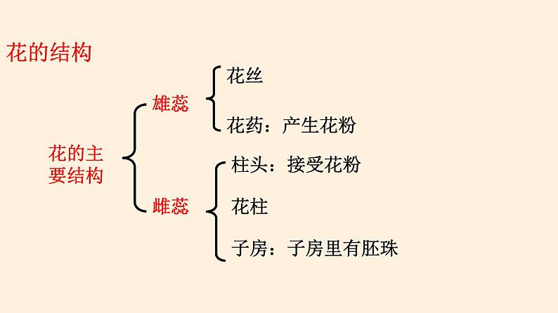 19.3 植物的生殖方式  课件 初中生物北师大版 八年级上册（2021年）第3页