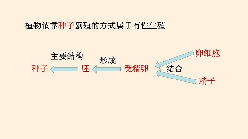 19.3 植物的生殖方式  课件 初中生物北师大版 八年级上册（2021年）第6页