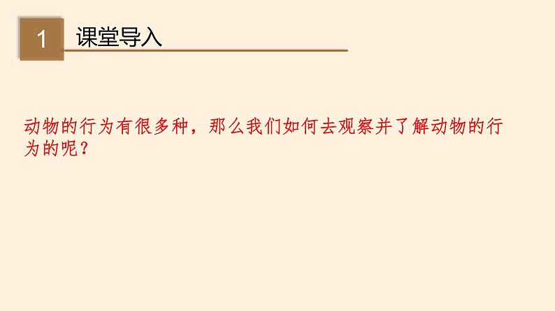 16.3 动物行为的研究 课件 初中生物北师大版 八年级上册（2021年）第2页