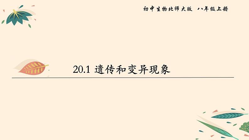 20.1 遗传和变异现象  课件 初中生物北师大版 八年级上册（2021年）第1页