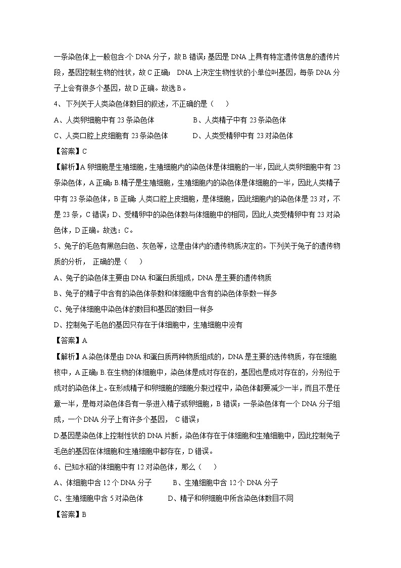 20.2 性状遗传的物质基础 同步练习 初中生物北师大版 八年级上册（2021年）第2页