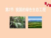 我國的綠色生態(tài)工程PPT課件免費(fèi)下載