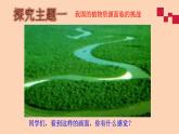 我國的綠色生態(tài)工程PPT課件免費(fèi)下載