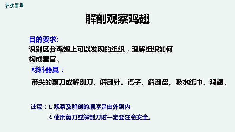 生物体的器官、系统PPT课件免费下载07