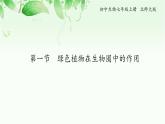 7.1  绿色植物在生物圈中的作用 课件 初中生物北师大版 七年级上册（2021年）